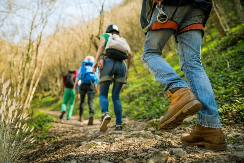 8 Best Hiking Shoes That Offer Great Value For Every Adventurer