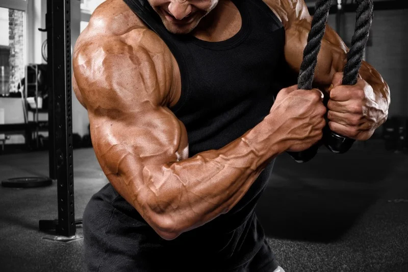how to get veins on biceps