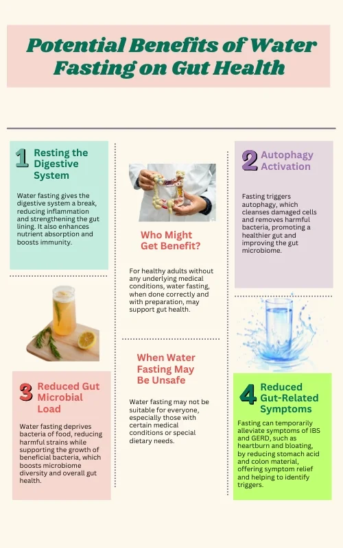 Benefits of Water Fasting on Gut Health