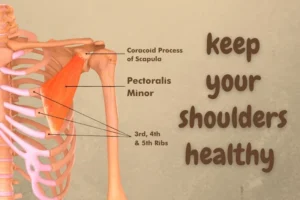 pectoralis minor stretching exercises