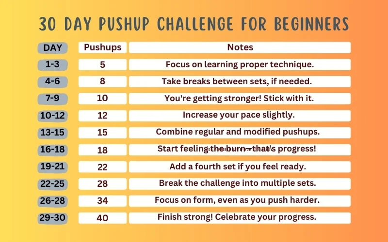 The 30-Day Pushup Plan